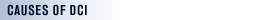 Causes of Decompression Illness (DCI) Causes of Decompression Illness (DCI)