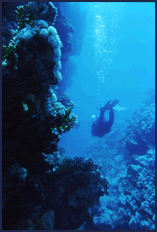 Decompression Illness (DCI) Diver